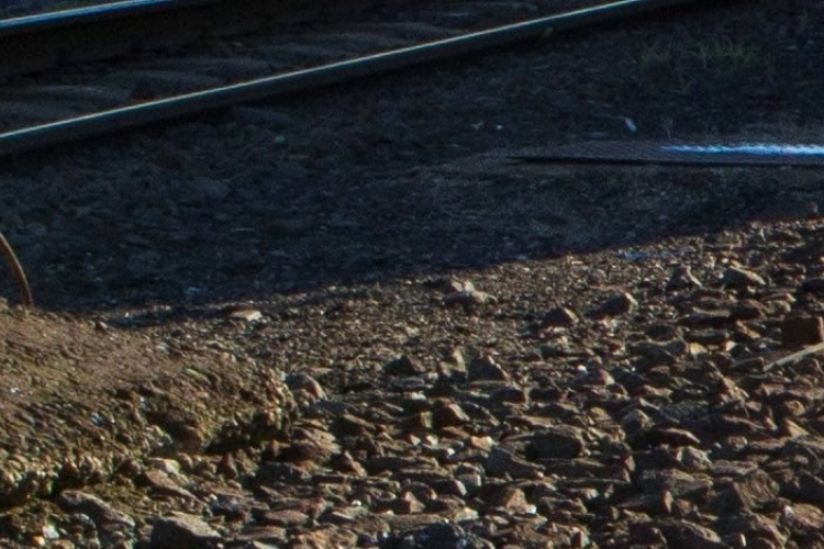 Vonattal ütközött egy autó Soltvadkertnél, a sofőr meghalt