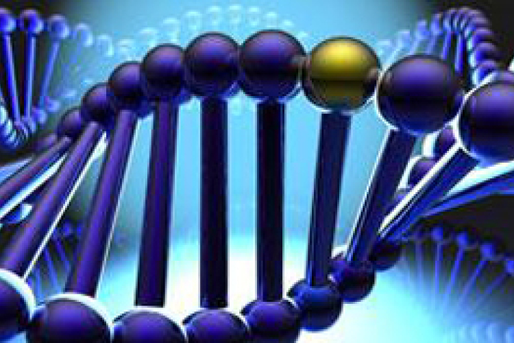 Bőrrákot okozhat a hasi zsírgén? 