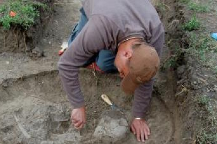 Értékes leletek kerültek elő a Seregélyesnél