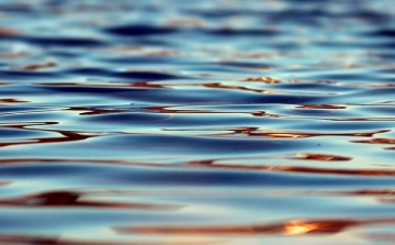 A vizes élőhelyek védelmére indítottak programot kutatók