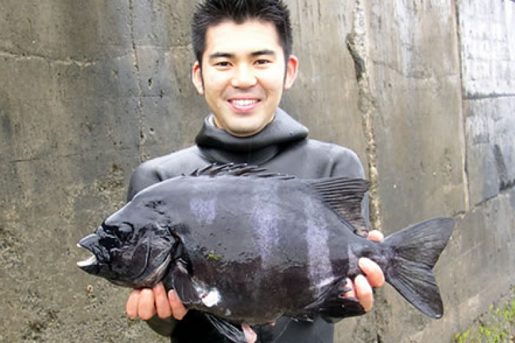 Átcsónakázott öt hal Japánból Amerikába