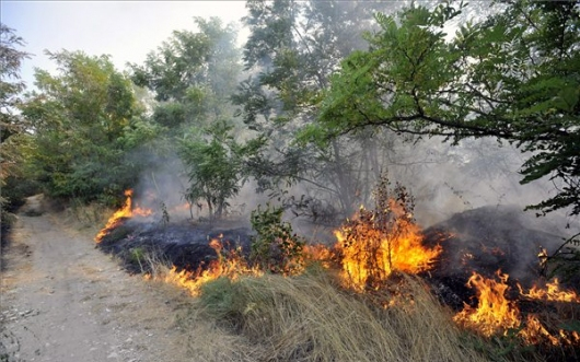 Négy megyében rendel el tűzgyújtási tilalmat a Nébih