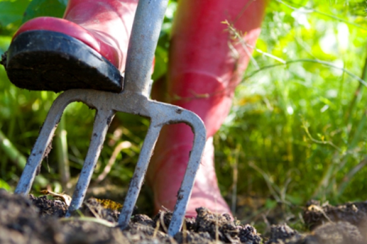 A zártkert-tulajdonosoknak nem lesz regisztrációs kötelezettségük