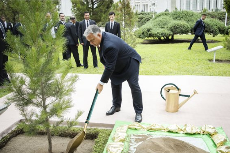 Orbán Viktor fát ültetett Türkmenisztánban
