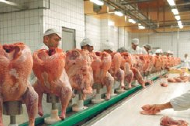 Épphogy átadták, máris megszűnik a Zalai Baromfifeldolgozó
