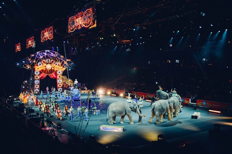 Ma ünneplik a cirkusz világnapját