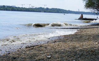 Hatásvizsgálatot kér az MTA a római-parti mobilgátról